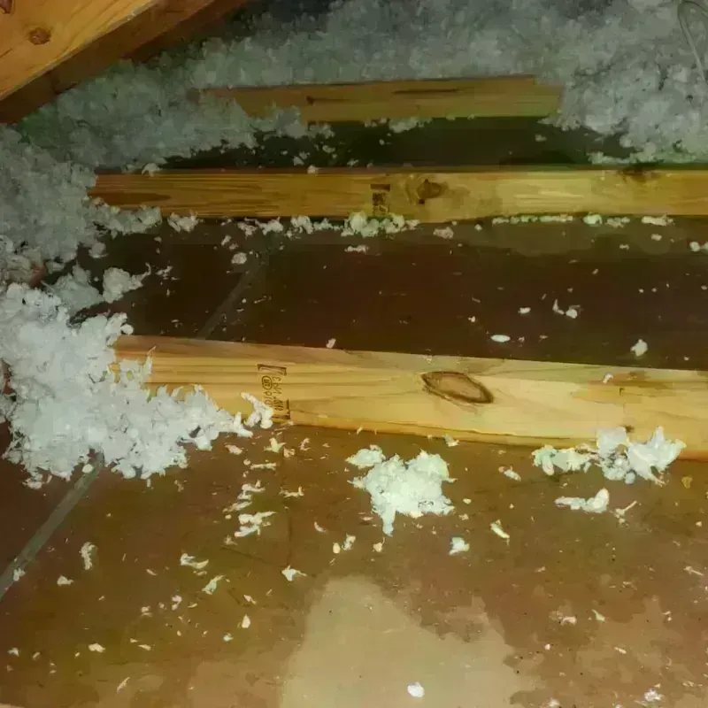 Attic Water Damage in Fairmont, NC