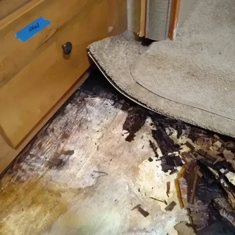 Wood Floor Water Damage in Fairmont, NC